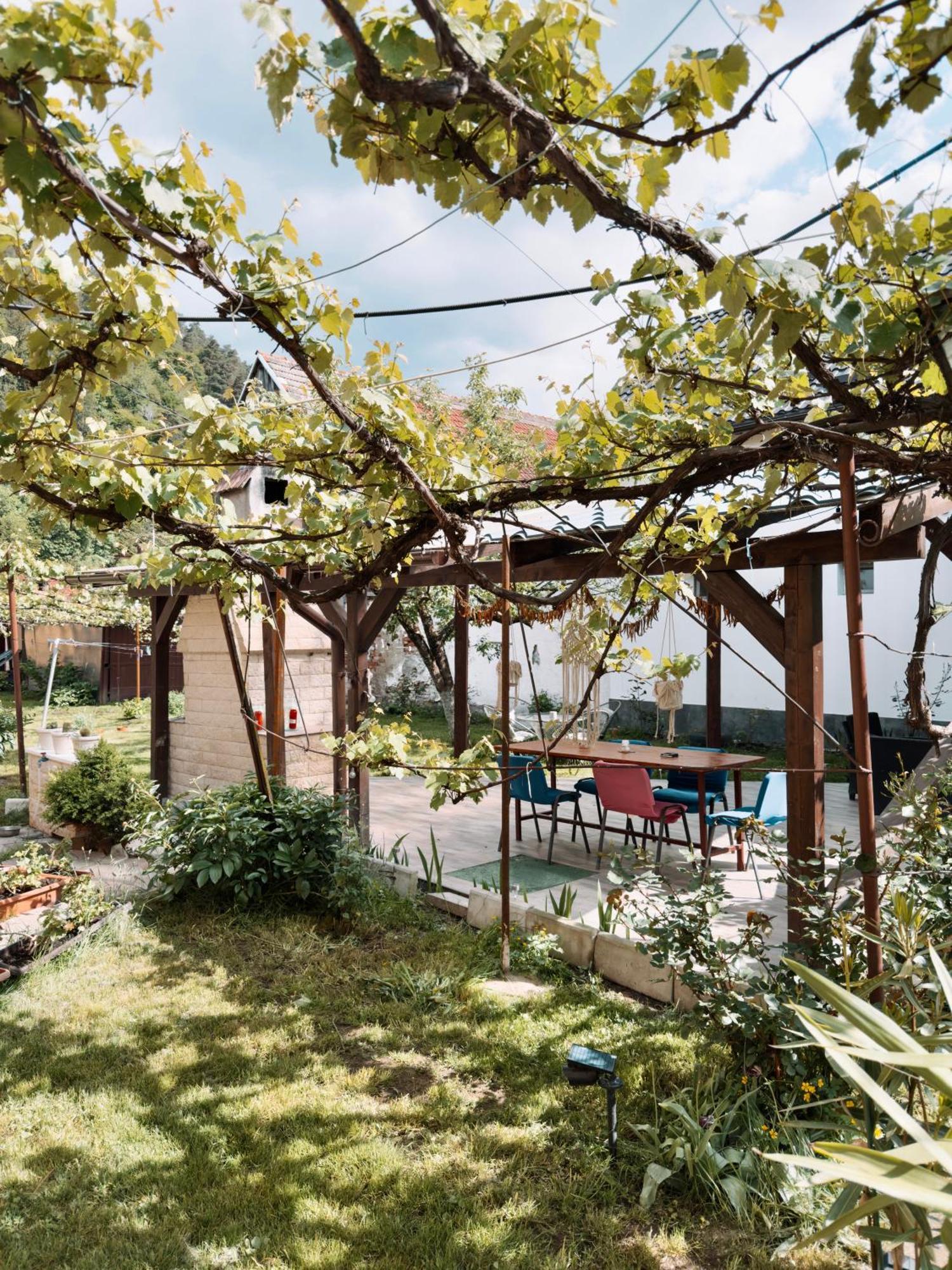 Yard Studio Rasnov Appartement Buitenkant foto
