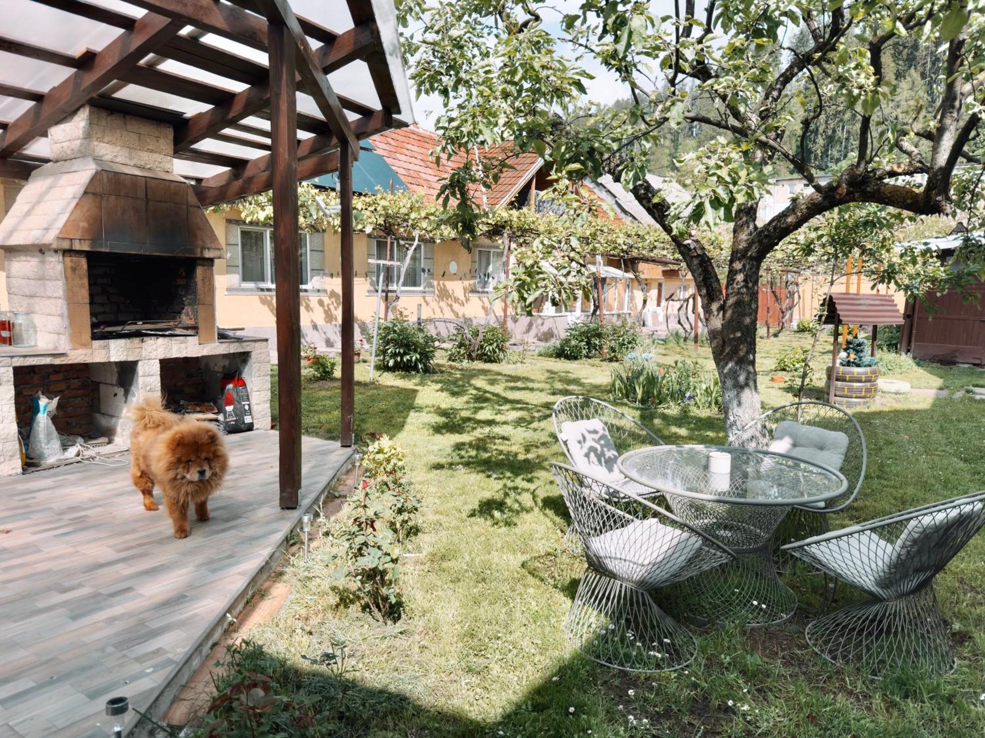 Yard Studio Rasnov Appartement Buitenkant foto
