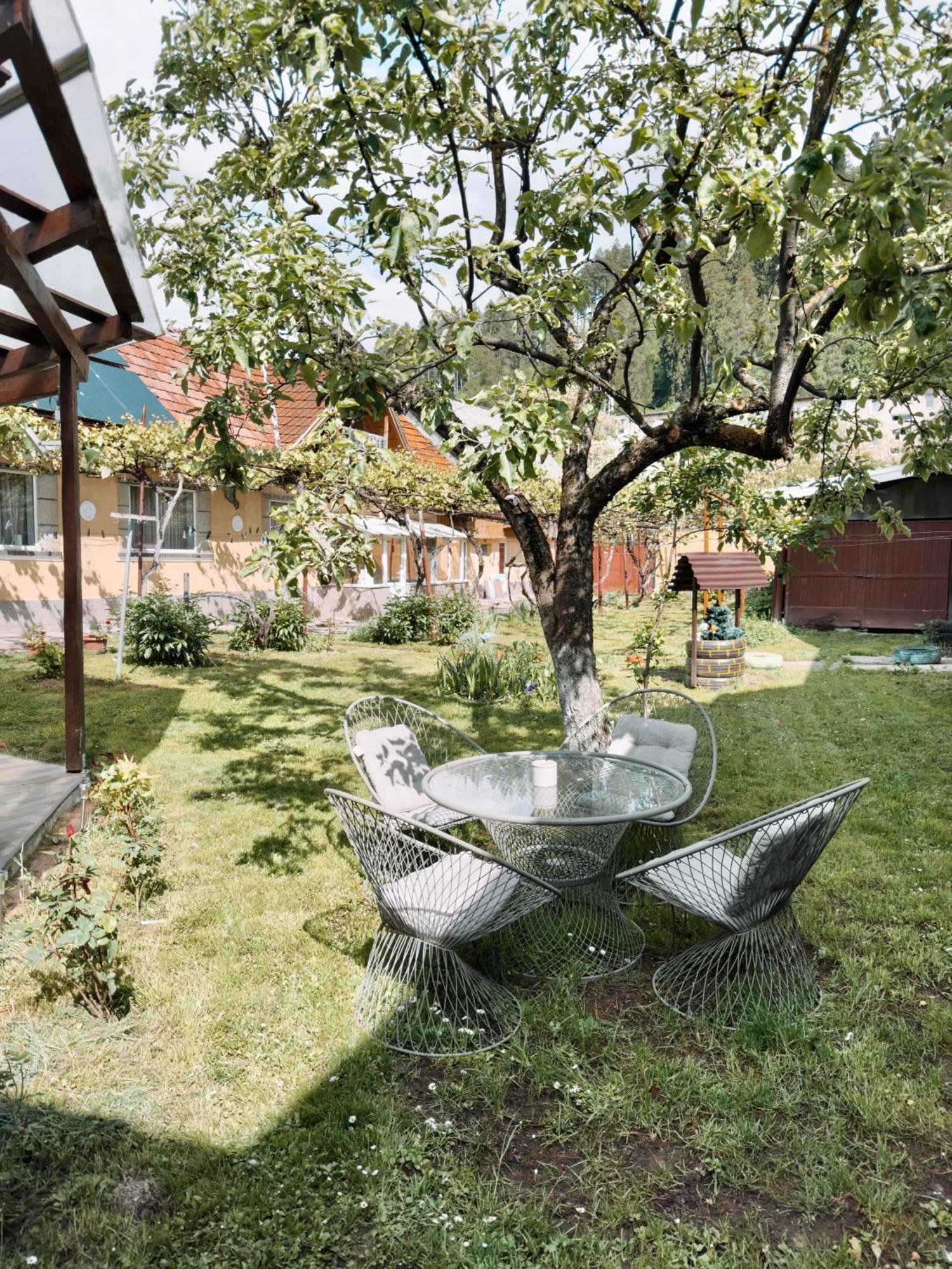 Yard Studio Rasnov Appartement Buitenkant foto